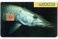 TK158 - Telefonní karta ČR Telecom - Štika (20/06.97/50 150Kč)