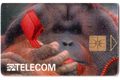 TK189 - Telefonní karta ČR Telecom - Orangutan (33/06.96/50)