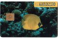 TK247 - Telefonní karta ČR Telecom - Chaetodon (78/10.96/100 190Kč)