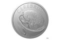 Stříbrná mince Lidské tělo - Nervová soustava - Mozek proof (ČM 2026) 