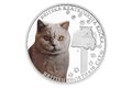 Stříbrná mince Plemena koček - Britská kočka proof (ČM 2024)