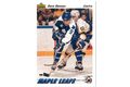 HK138 - Upper Deck karta - Dave Hannan č. 312 (1991-92)