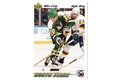 HK168 - Upper Deck karta - Mike Craig č. 125 (1991-92)