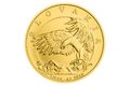 Zlatá 1/4oz investiční mince Orel 2023 standard (ČM 2024)