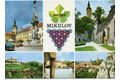 F 13354 - Mikulov