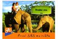 F 37609 - GO první sms ze světa