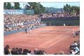 F 41451 - DAVIS CUP 1973 - Kodeš - Meiler