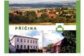 F 54216 - Příčina