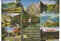 Berchtesgadener Land - 56911
