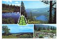 F 49407 - Šumava 
