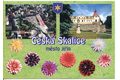 F 52793 - Česká Skalice