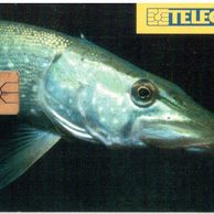 TK158 - Telefonní karta ČR Telecom - Štika (20/06.97/50 150Kč)