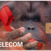 TK189 - Telefonní karta ČR Telecom - Orangutan (33/06.96/50)