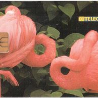 TK237 - Telefonní karta ČR Telecom - Plameňáci (20/05.98/50 150Kč)