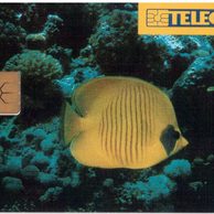 TK247 - Telefonní karta ČR Telecom - Chaetodon (78/10.96/100 190Kč)
