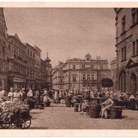 59088 - Opava  