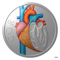 Stříbrná mince Lidské tělo - Oběhová soustava - Srdce proof (ČM 2026)