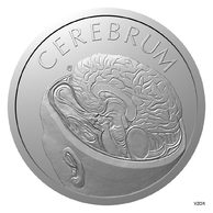 Stříbrná mince Lidské tělo - Nervová soustava - Mozek proof (ČM 2026) 
