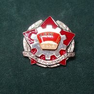 13323 - SSM Za pracovní úspěchy