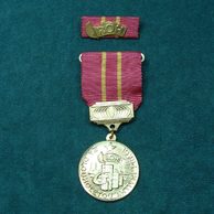 13371 - ROH Za dlouholetou aktivní práci