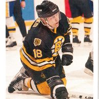 HK134 - Upper Deck karta - Petri Skriko č. 334 (1991-92)