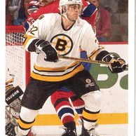 HK232 - Upper Deck karta - Don Sweeney č. 338 ( 1991-92)