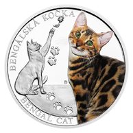 Stříbrná mince Plemena koček - Bengálská kočka proof (ČM 2025) 