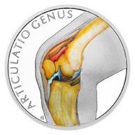 Stříbrná mince Lidské tělo - Kosterní soustava – Kolenní kloub proof (ČM 2025)
