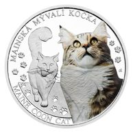 Stříbrná mince Plemena koček - Mainská mývalí kočka proof (ČM 2024) 