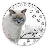 Stříbrná mince Plemena koček - Ragdoll proof (ČM 2025)