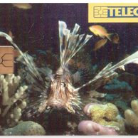 TK103 - Telefonní karta ČR Telecom - Perutýn (01/01.97/50 150Kč)