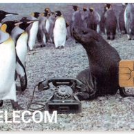 TK108 - Telefonní karta ČR Telecom - Tučňáci (86/12.96/50 100kč)