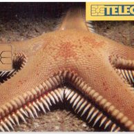 TK109 - Telefonní karta ČR Telecom - Hvězdice (12/04.97/50 150K)
