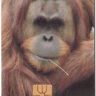 TK112 - Telefonní karta ČR Telecom - Orangutan (59/11.97/50 150Kč)
