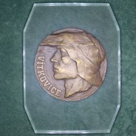 1246-Vítkovice (plaketa na plexisklu)