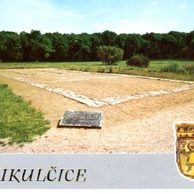 F 19799 - Mikulčice