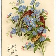 C 38563 - Srdečné blahopřání k narozeninám