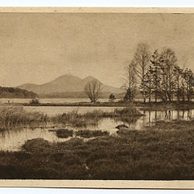 Ostatní cizina - 39928