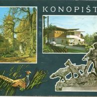F 001367 - Konopiště