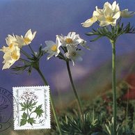 4/1983/Cartes Maximum/Berlín