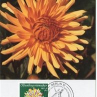 4/1985/Cartes Maximum/Berlín