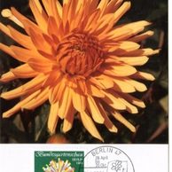 5/1985/Cartes Maximum/Berlín