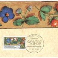 14/1985/Cartes Maximum/Berlín