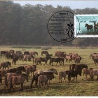 32/1987/Cartes Maximum/Bundesrepublik Deutschland