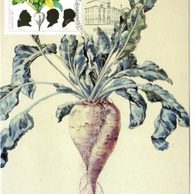 11/1992/Cartes Maximum/Bundesrepublik Deutschland