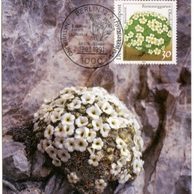 26/1991/Cartes Maximum/Bundesrepublik Deutschland