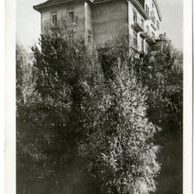 Grimmenstein - 10176