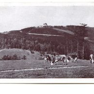 D 10474 - Svatý Hostýn