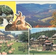 F 41243 - Karlova Studánka 