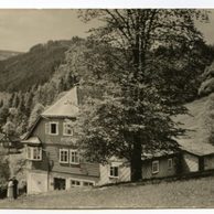 E 11616 - Velká Úpa